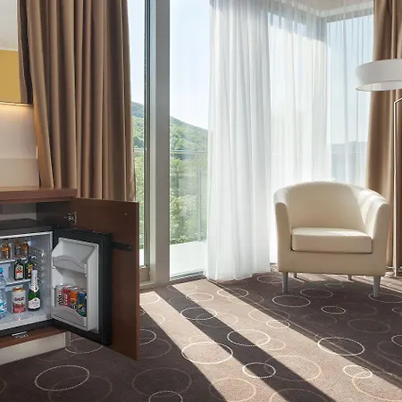 Wellness Panorama فندق