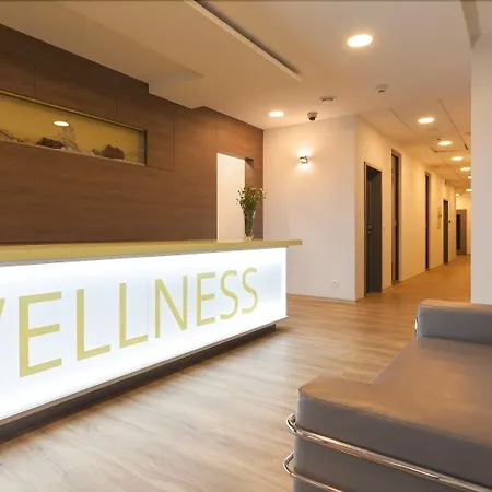 Wellness Panorama 4* トレンチアンスケ・テプリツェ
