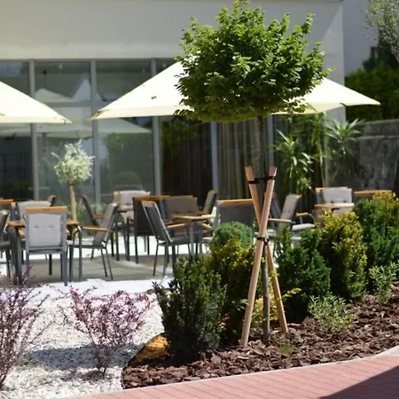 Wellness Panorama Hotel