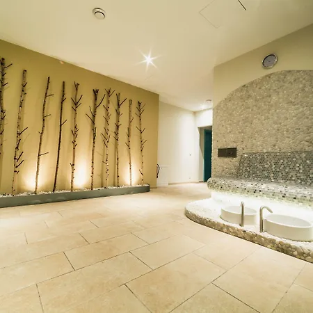 Wellness Panorama Hotel Trenczyńskie Cieplice