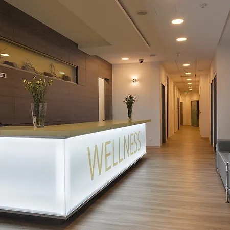 Wellness Panorama 酒店 4*