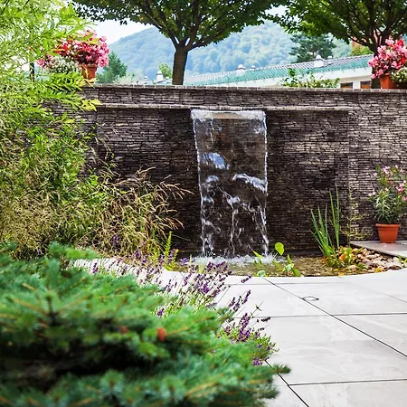 Wellness Panorama